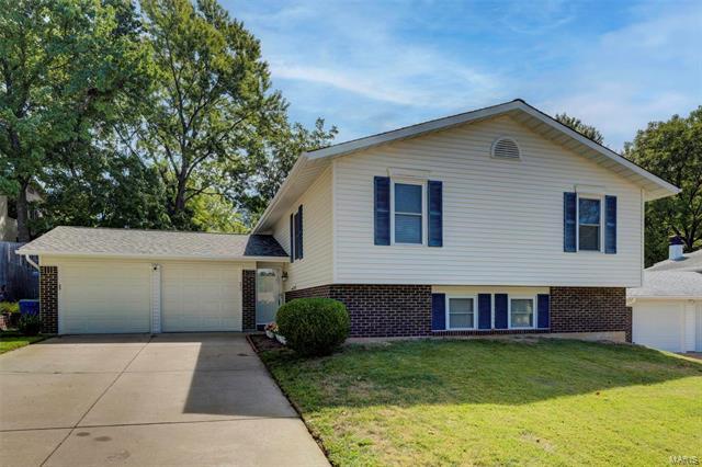 12232 Spring Shadow Court  Maryland Heights MO 63043 photo