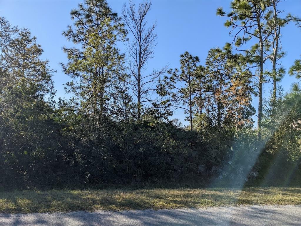 Property Photo: Starry Street Lot 34 FL 32833