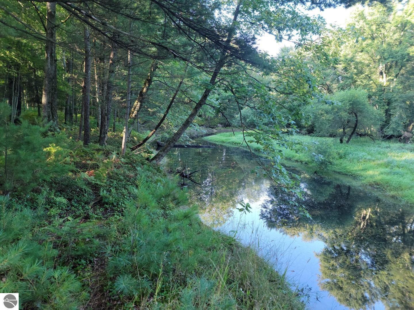 Property Photo: Xxx Jeffs Road MI 49667