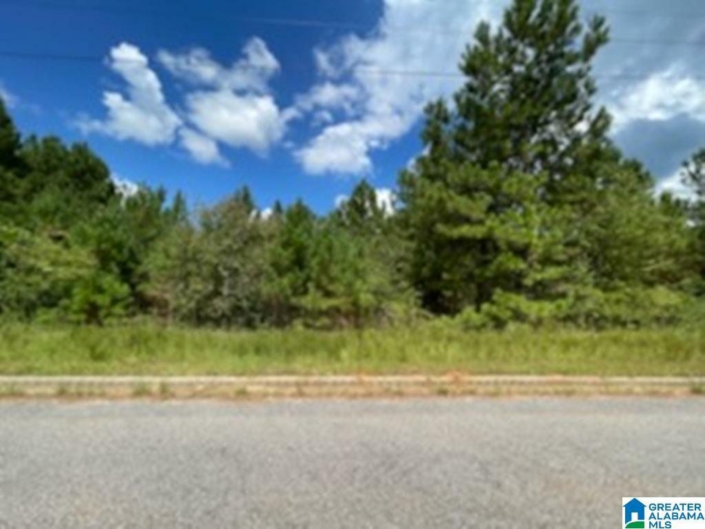 Lot 23 Stonegate Circle 23  Lincoln AL 35096 photo