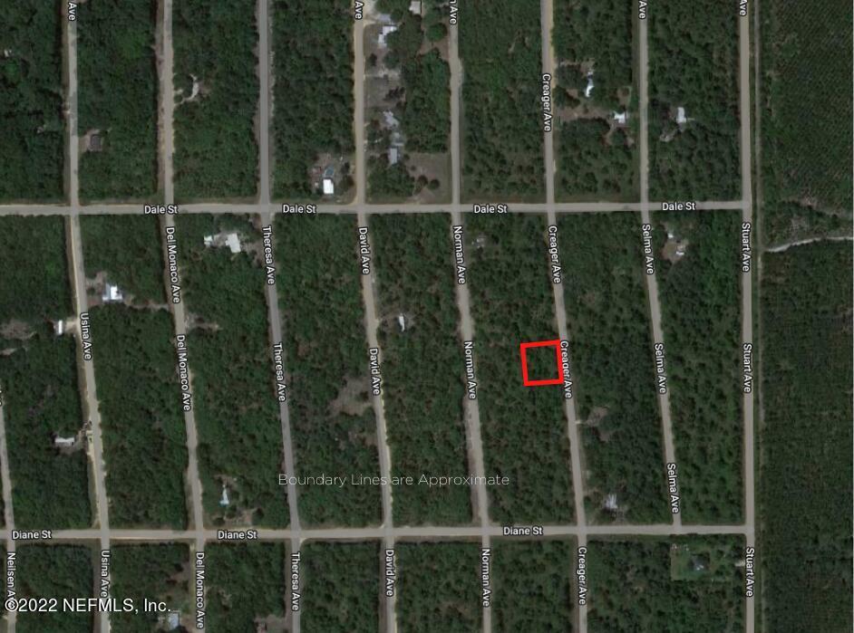 0 Creager Avenue  Interlachen FL 32148 photo