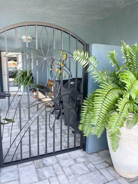 Property Photo: 4914 Bonito Drive FL 34652