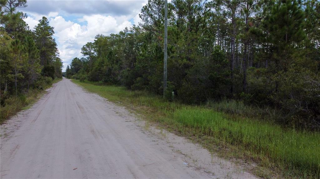 Property Photo:  2459 Old Train Road  FL 32738 