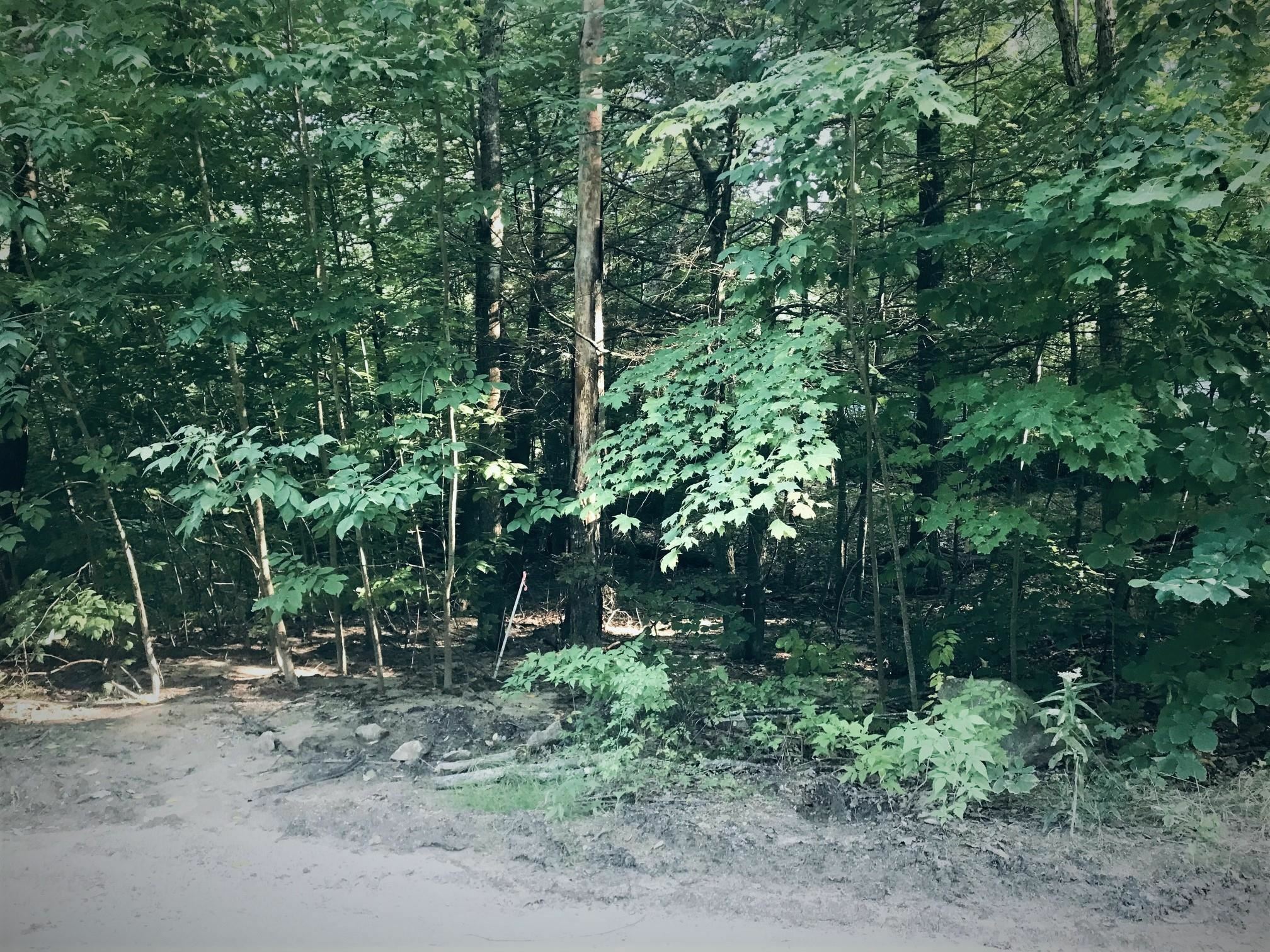 Property Photo:  Lot 73 Long Shores Drive 73  NH 03825 