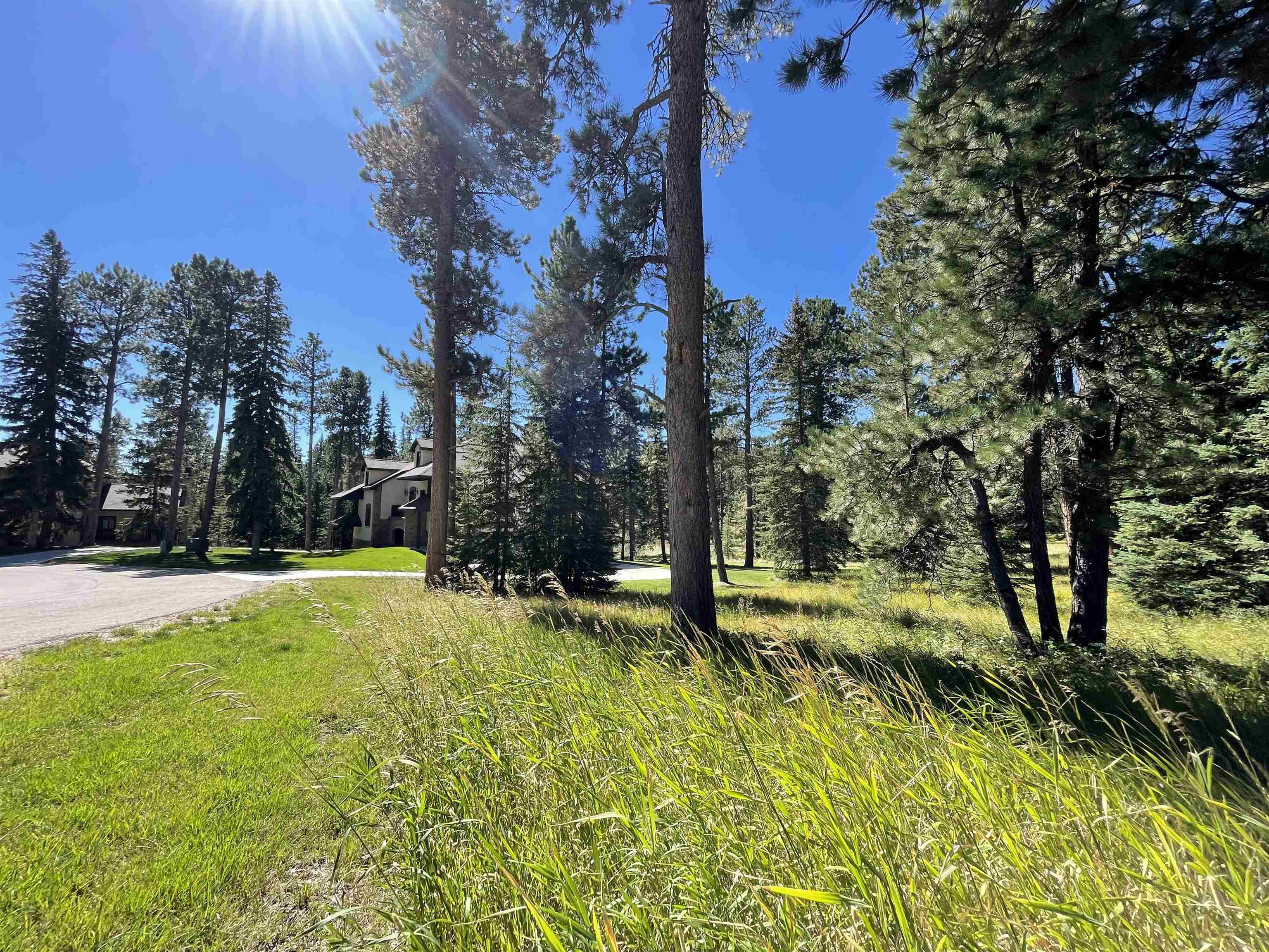 Property Photo:  Lot 22 Woodland Springs Road  SD 57754 