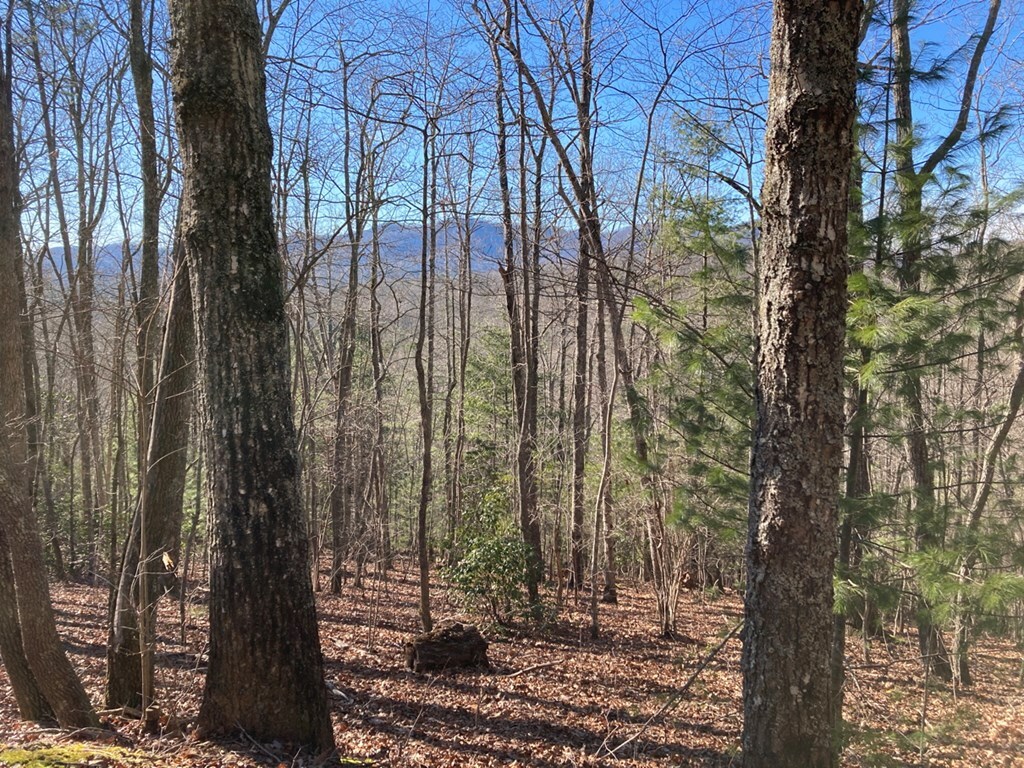 Property Photo:  Lot 31 High Ridge Road  NC 28906 