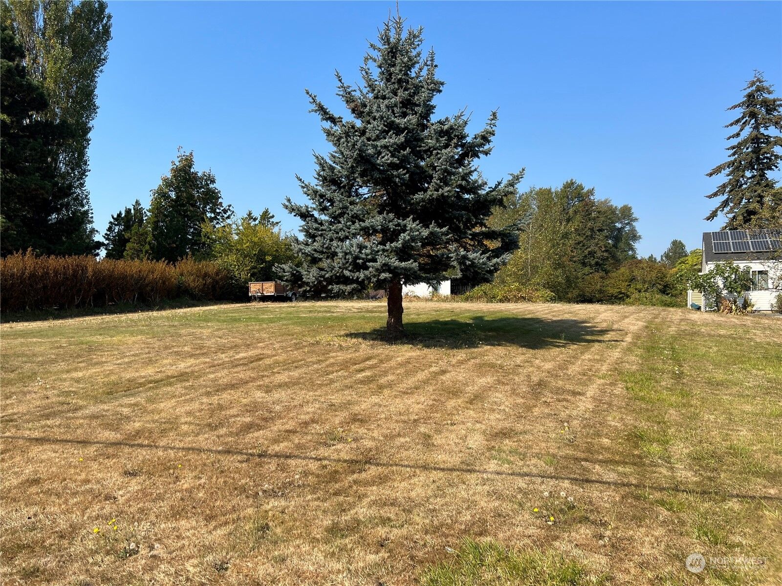 Property Photo:  3108 Birchwood Avenue  WA 98225 