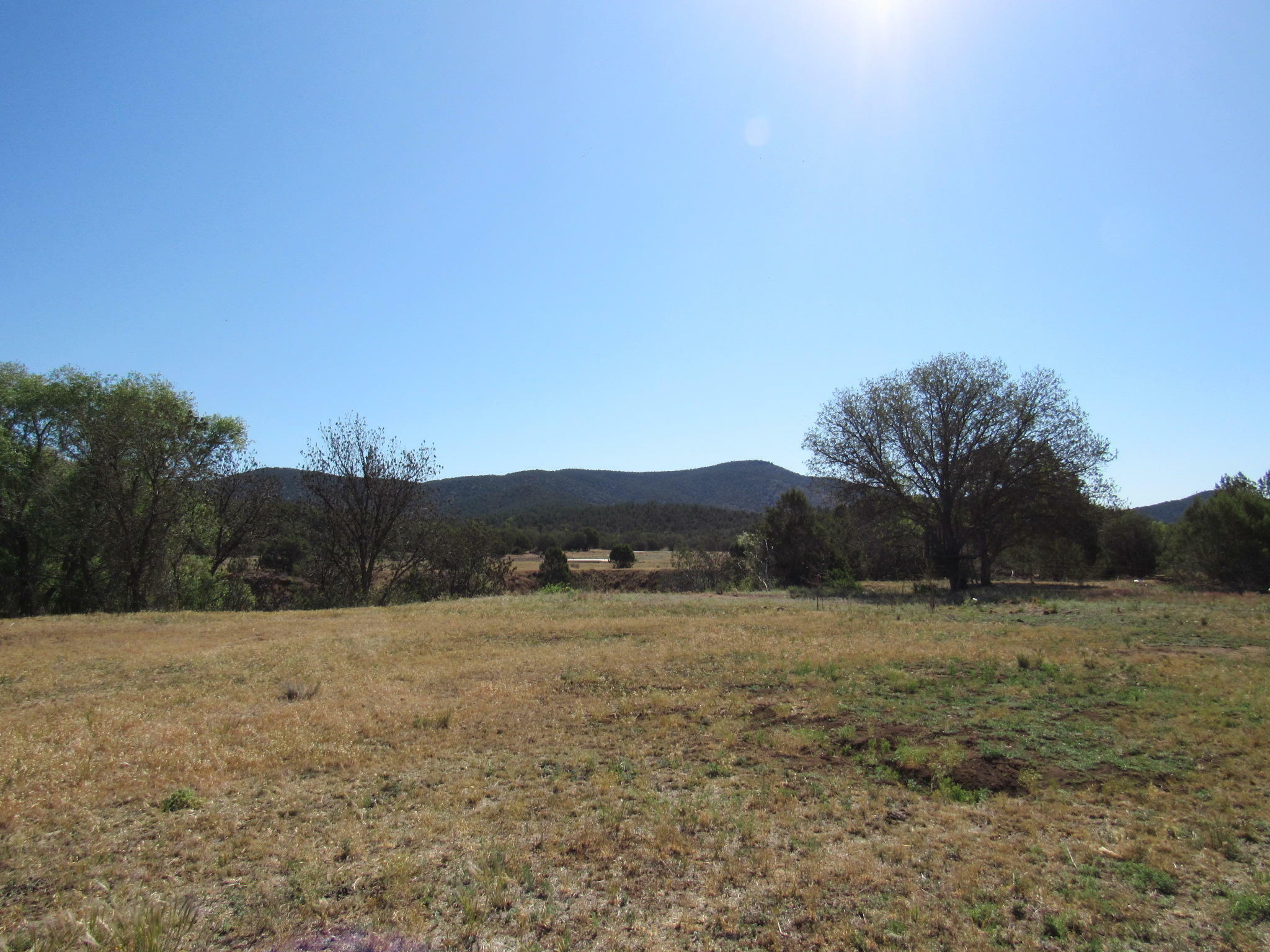 Property Photo:  770 W Colt Lane  AZ 85541 