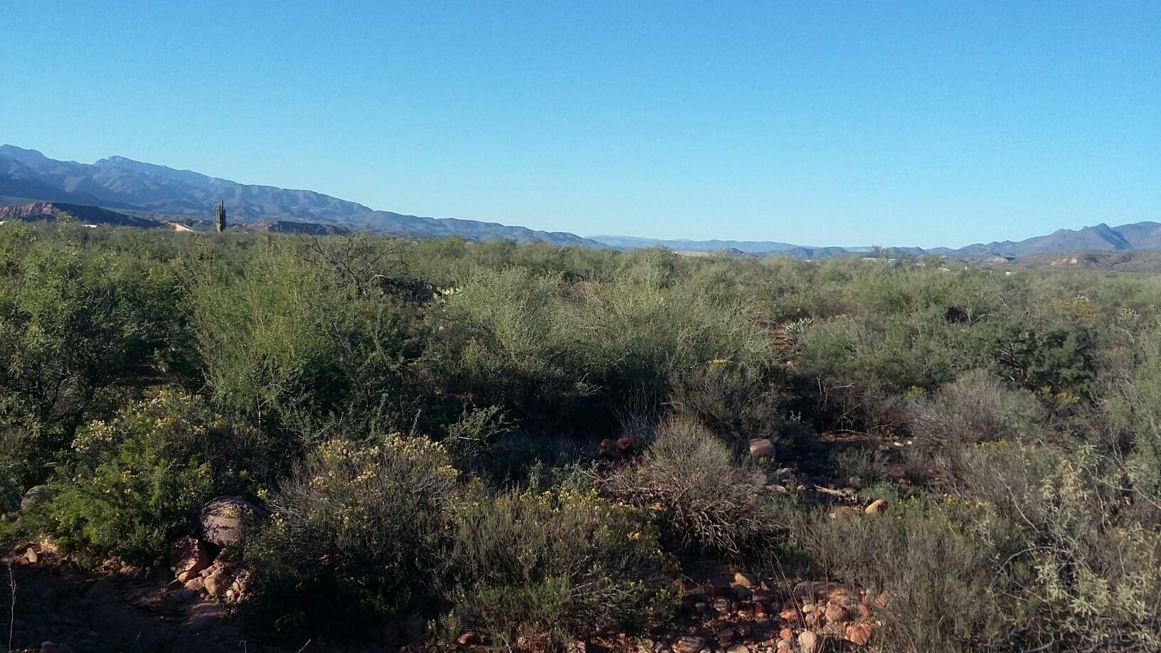 Property Photo:  Parcel 4 Ewing Trail  AZ 85553 