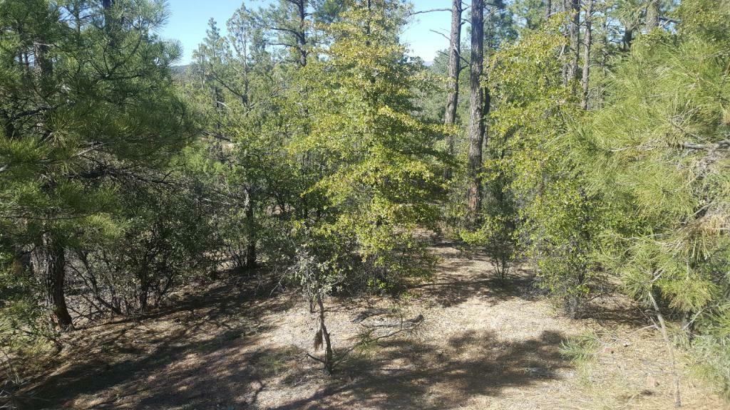 Lot 37 Saddleback Trail  Payson AZ 85541 photo