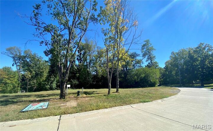 Property Photo: 2017 Lily Avenue MO 63122