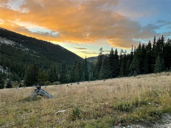 15743 Big Johnnie #12  Leadville CO 80461 photo