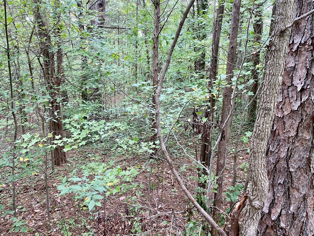 Property Photo:  0.86 Ac. Iron Gate Road  VA 23927 