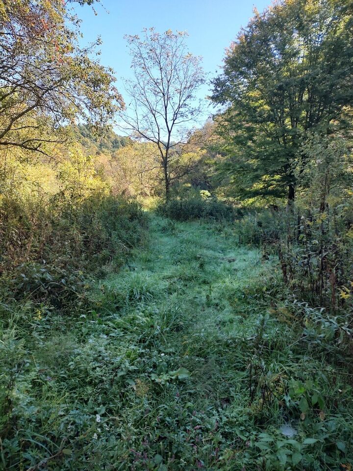 229 Bear Hollow Road  Bristol TN 37620 photo