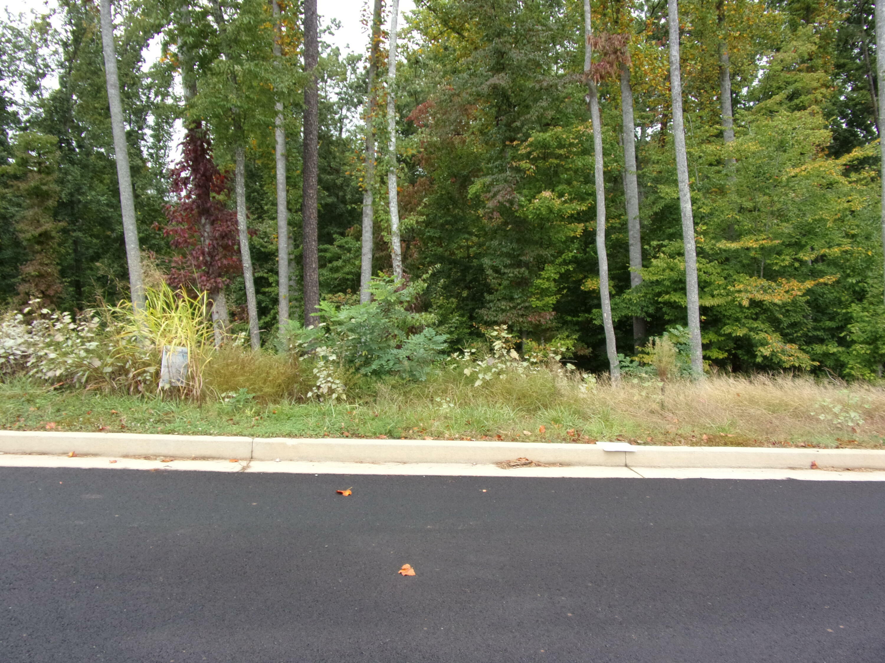 Property Photo:  Lot 24 Bridgewater Blvd  TN 37814 