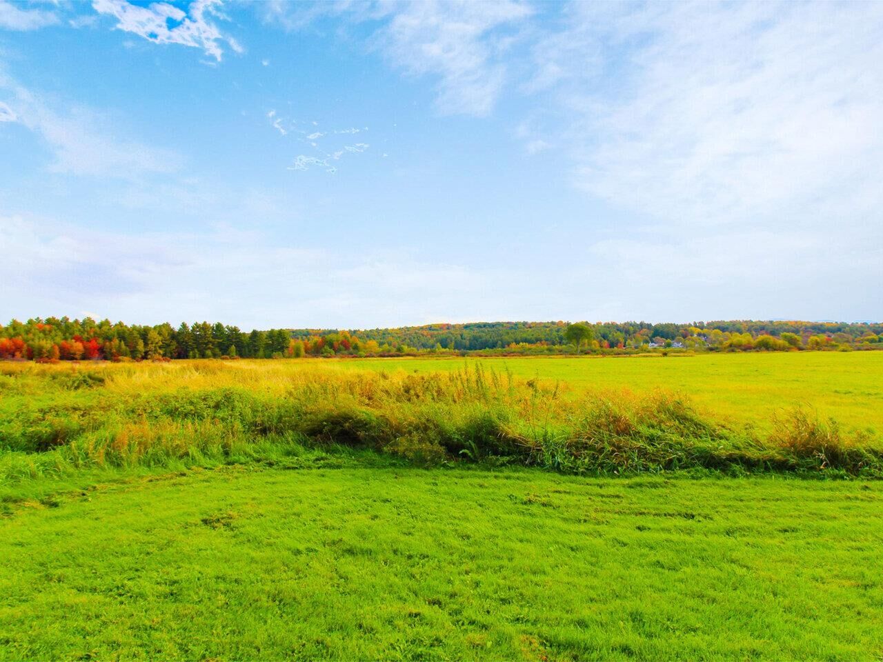Property Photo:  95 Towers Road  VT 05452 