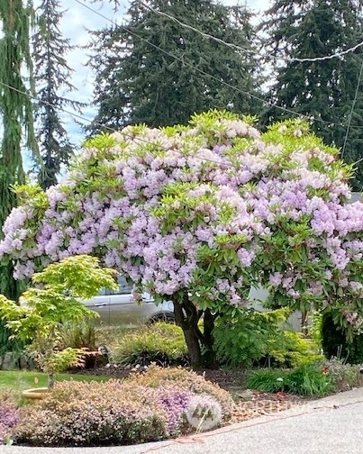 Property Photo: 23029 102nd Place W WA 98020