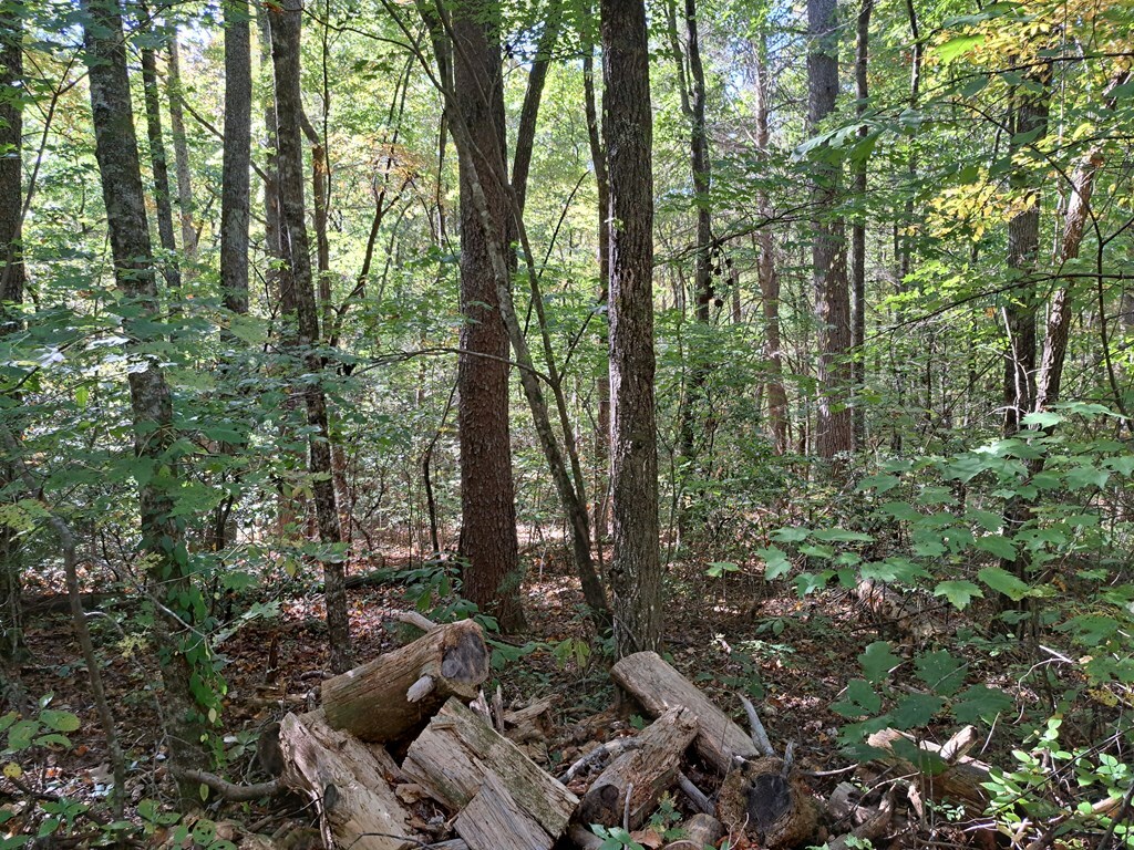 Property Photo:  Lot #36 Mountain Spirit Way  GA 30536 