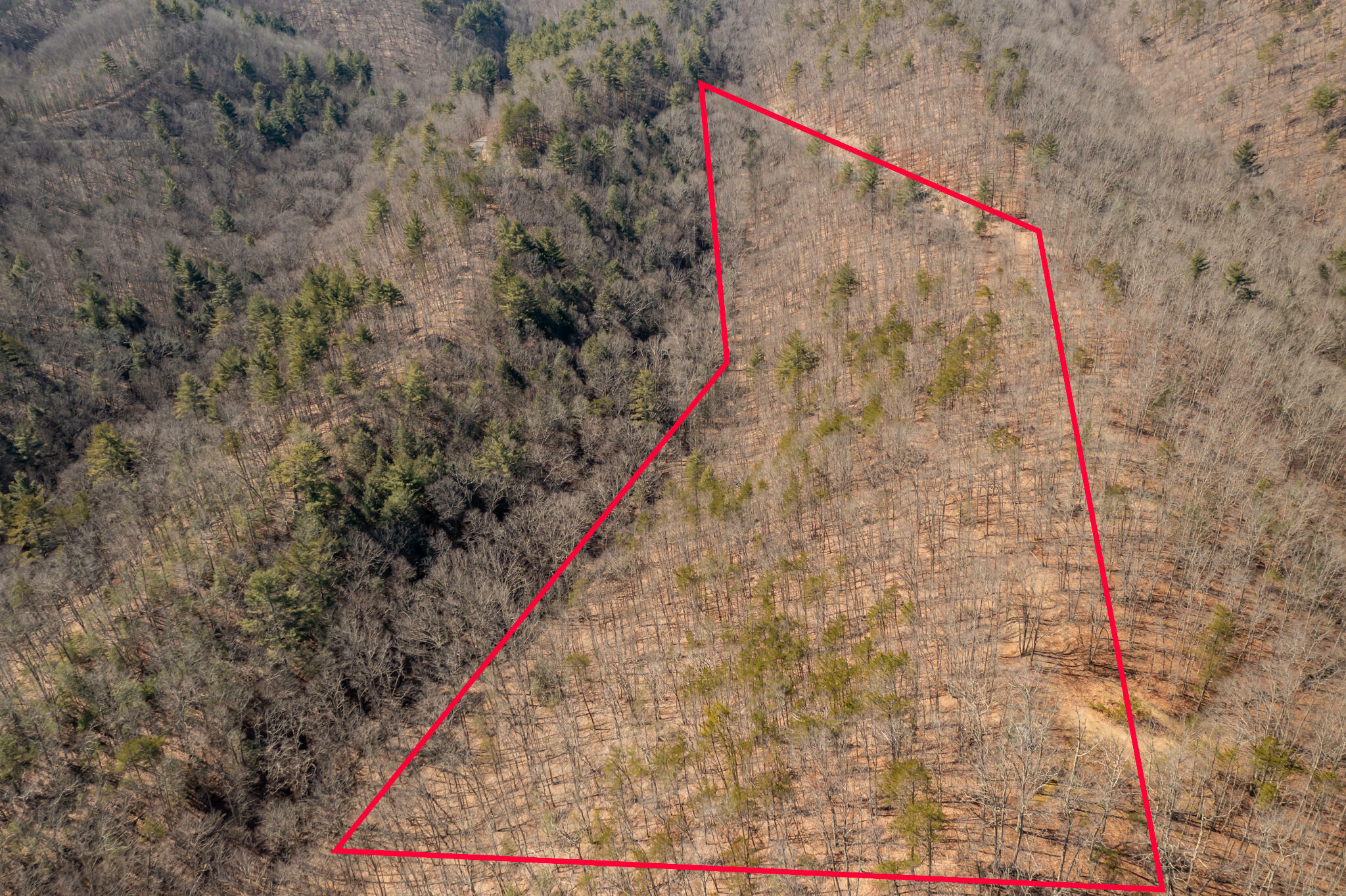 Property Photo:  Overlook At Greenbrier  Lot 43  WV 24925 