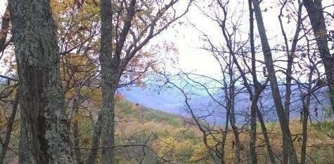 Property Photo:  14 Forest Service Road  WV 24954 