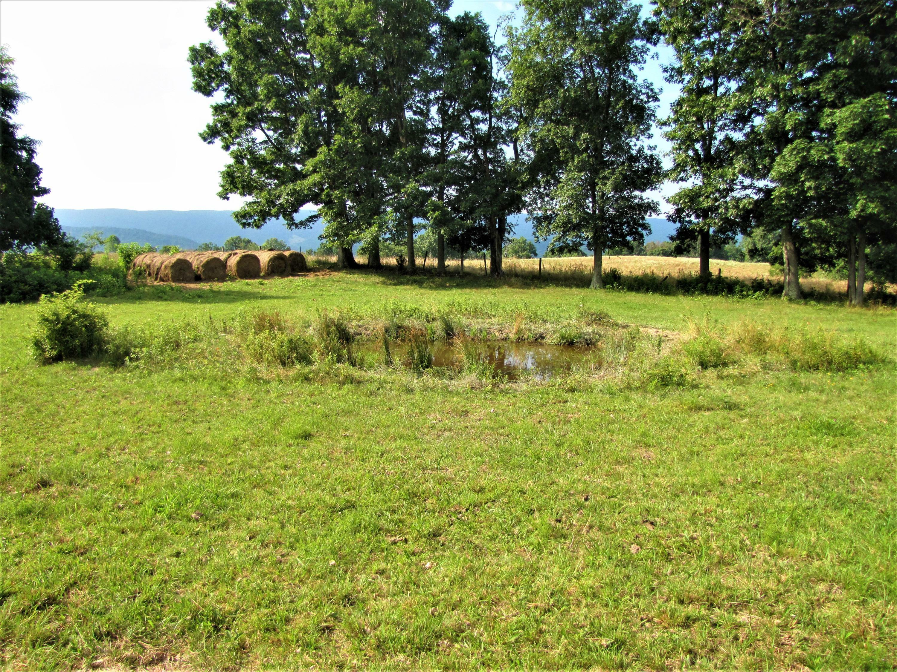 Property Photo:  Miller Farm Rd  WV 24963 