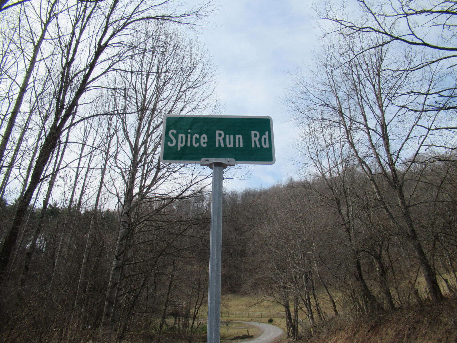 Property Photo: Lot 1 Spice Run Road WV 24946