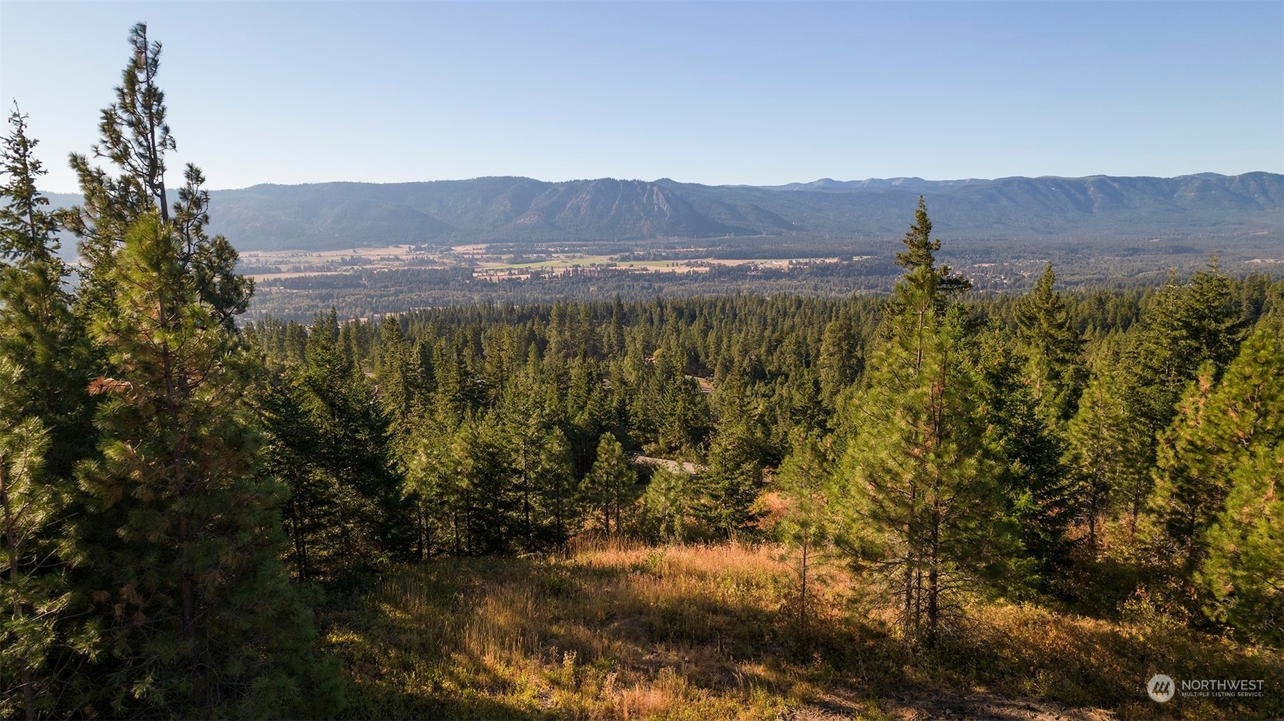 Property Photo:  31 Forest Ridge Drive  WA 98922 