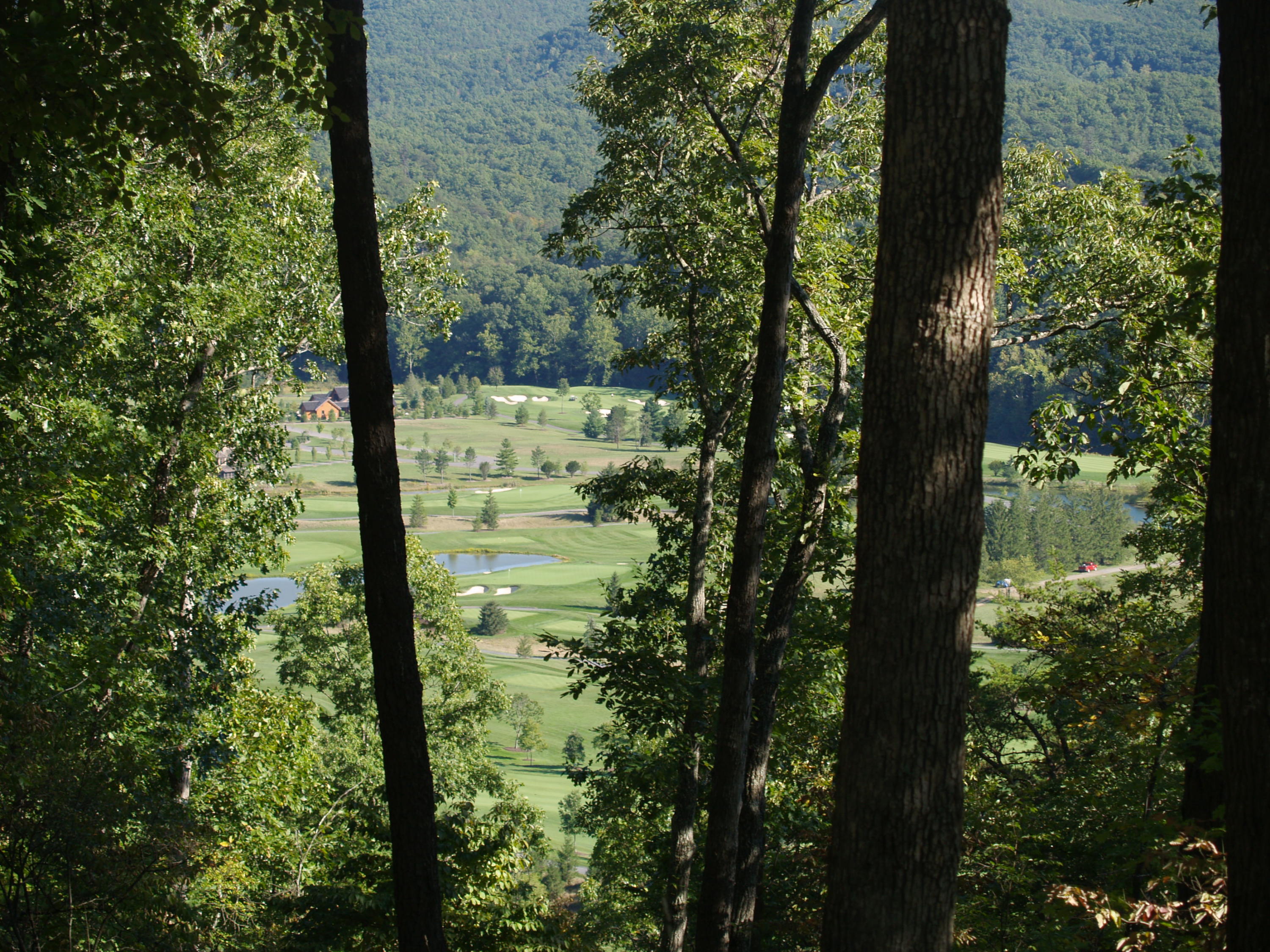 Property Photo:  1341 Dogwood Trail Rgm 094  WV 24986 