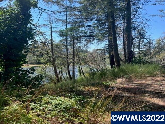 Property Photo: 25225 Santiam Park SE OR 97358