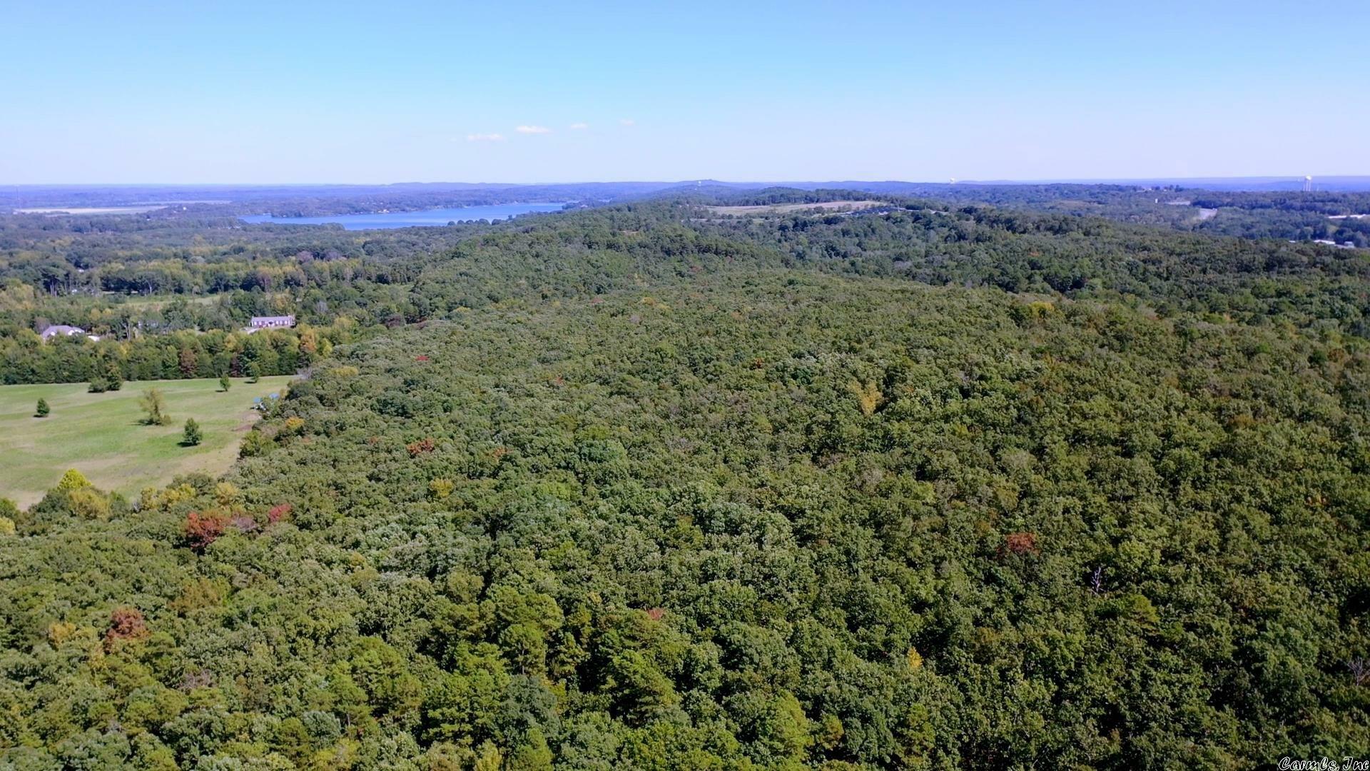 Property Photo: 000 Goldmine Springs Road AR 72032