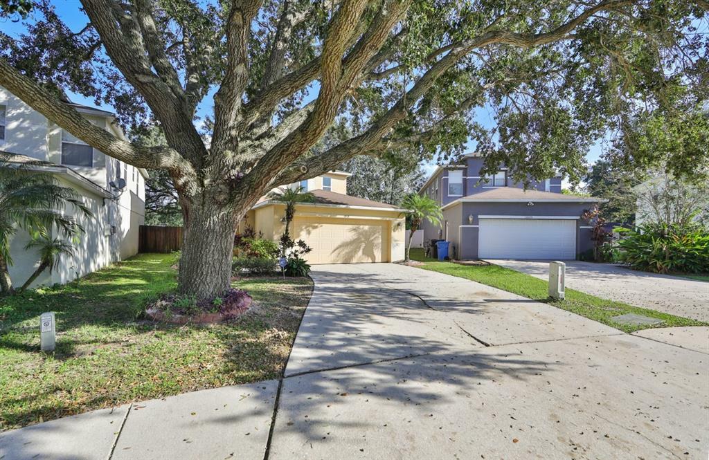 Property Photo:  11818 Mango Cross Court  FL 33584 