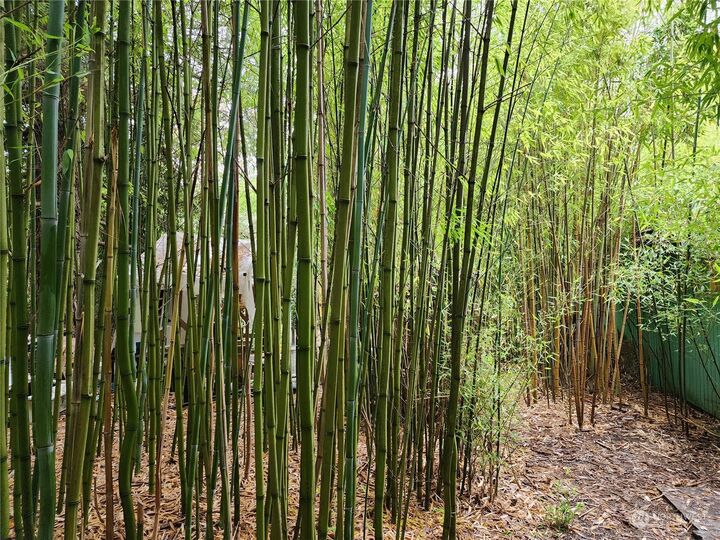 Property Photo: 6531 NE Gunderson Road WA 98370