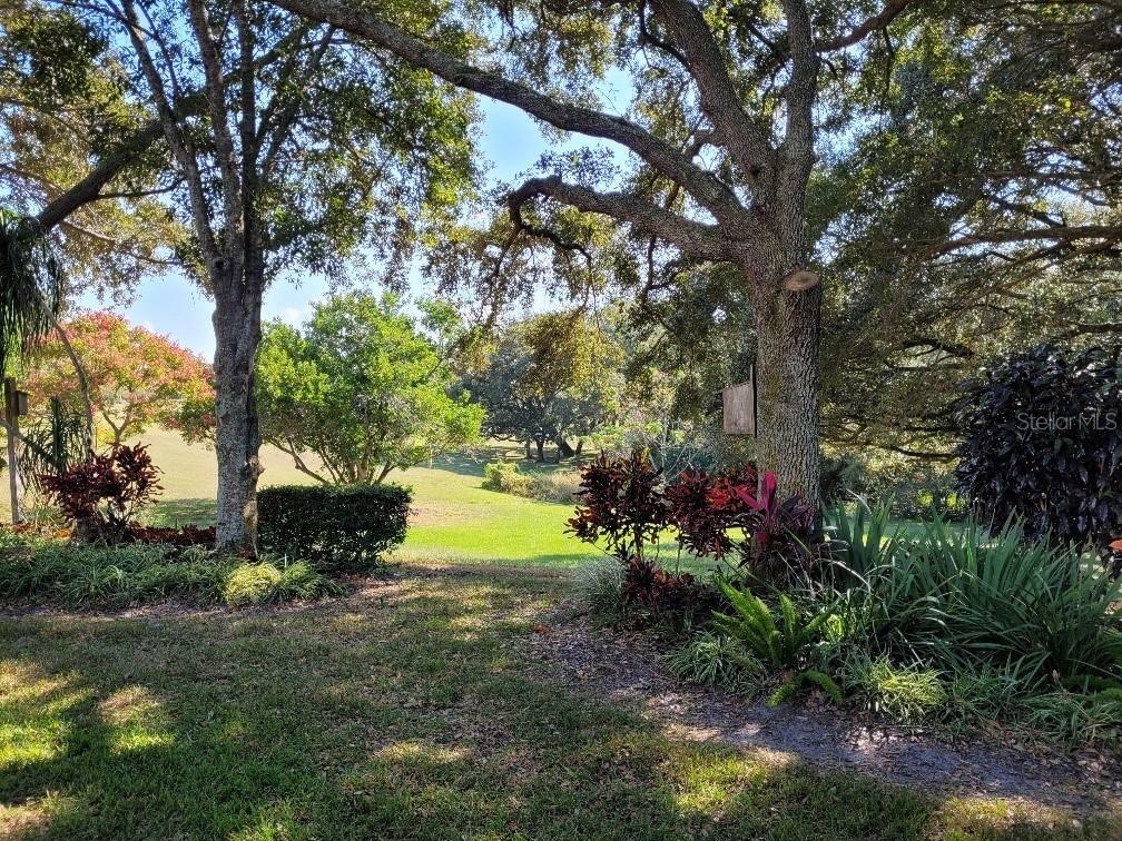 Property Photo: 2856 Neil Court FL 34684