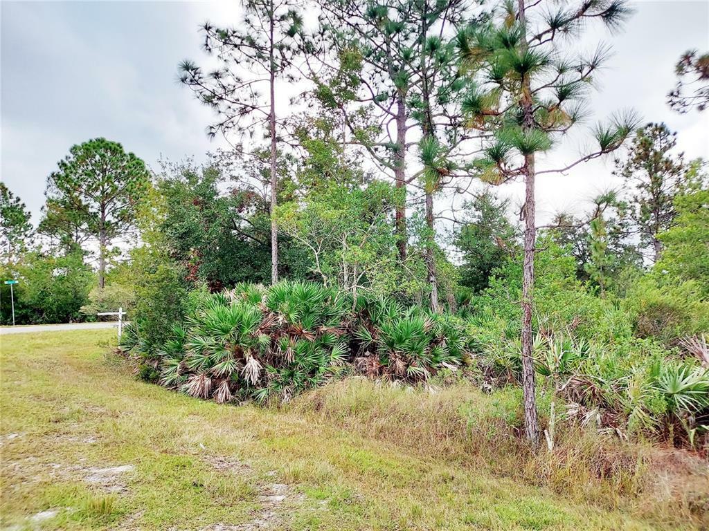 Property Photo: Ortega Street FL 32833