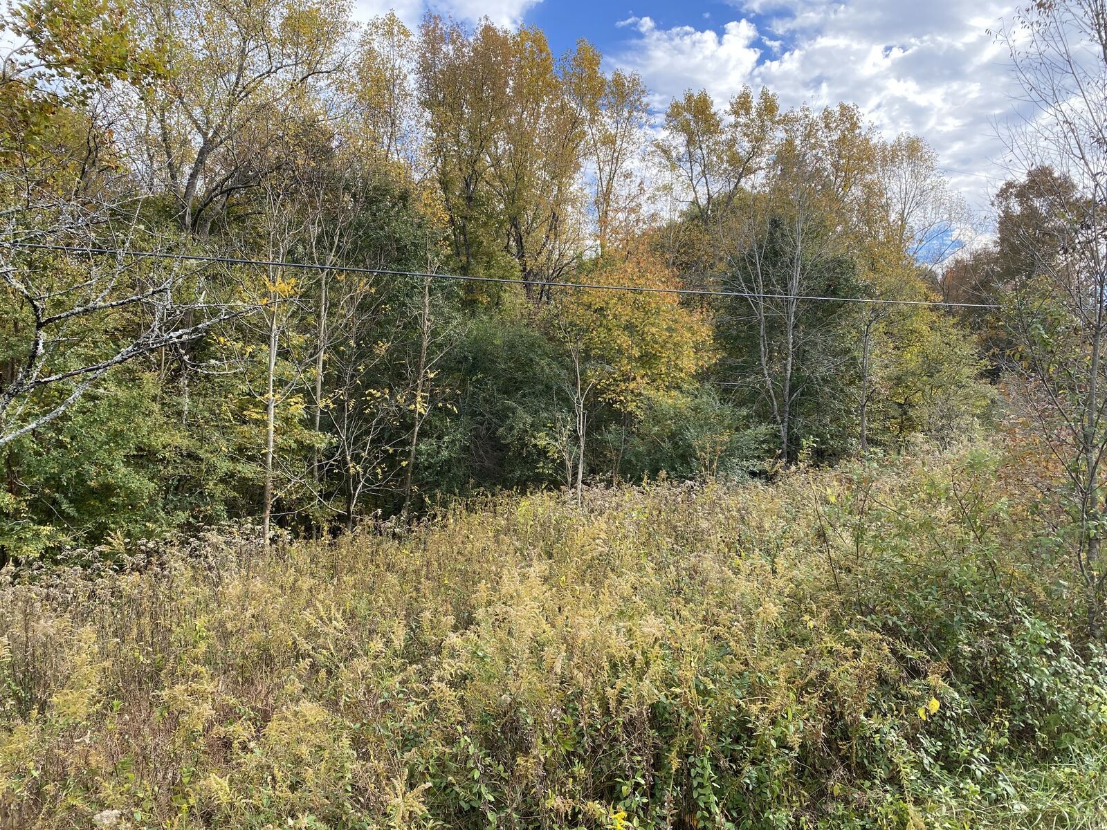 Property Photo: 0 Golf Shores Rd TN 37398