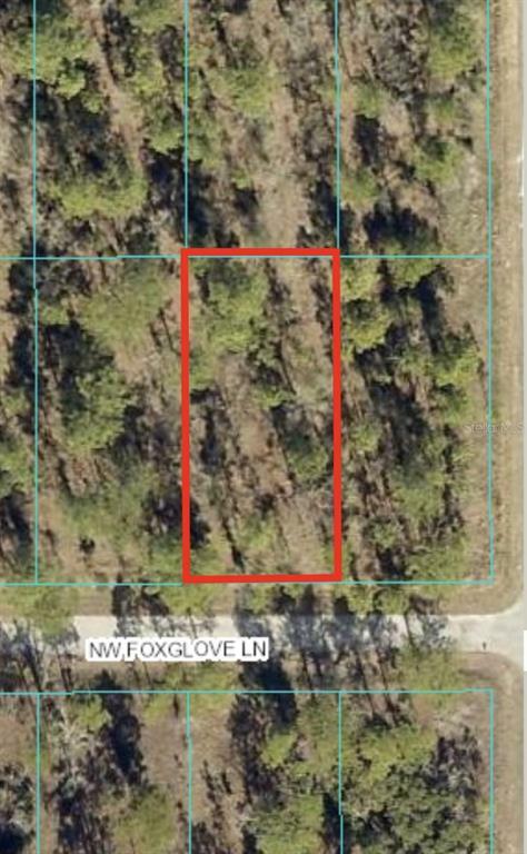 Property Photo: 0 NW Foxglove Lane FL 34431