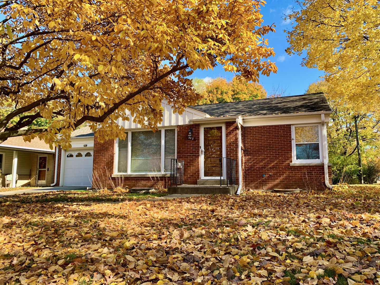 Property Photo: 803 N Fernandez Avenue IL 60004