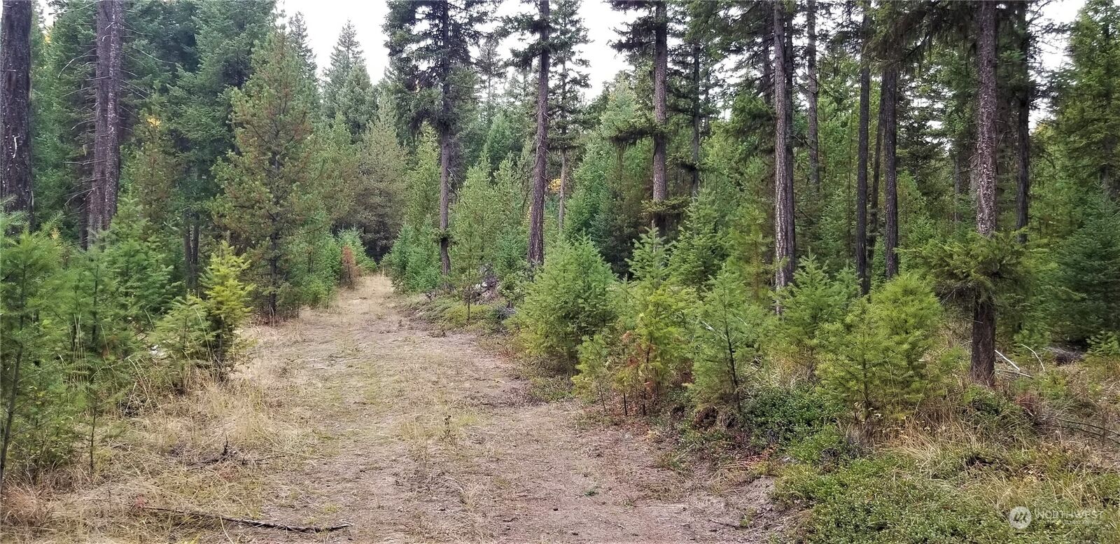 Property Photo:  152 Gardner Creek Road  WA 99166 