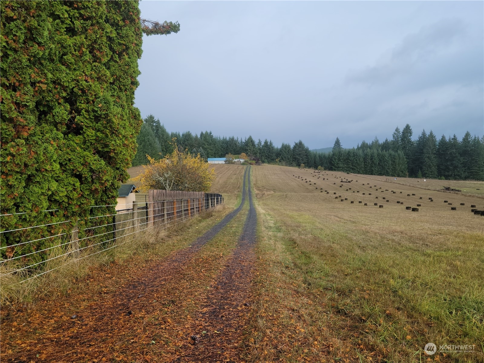 Property Photo:  362 Jones Road  WA 98596 