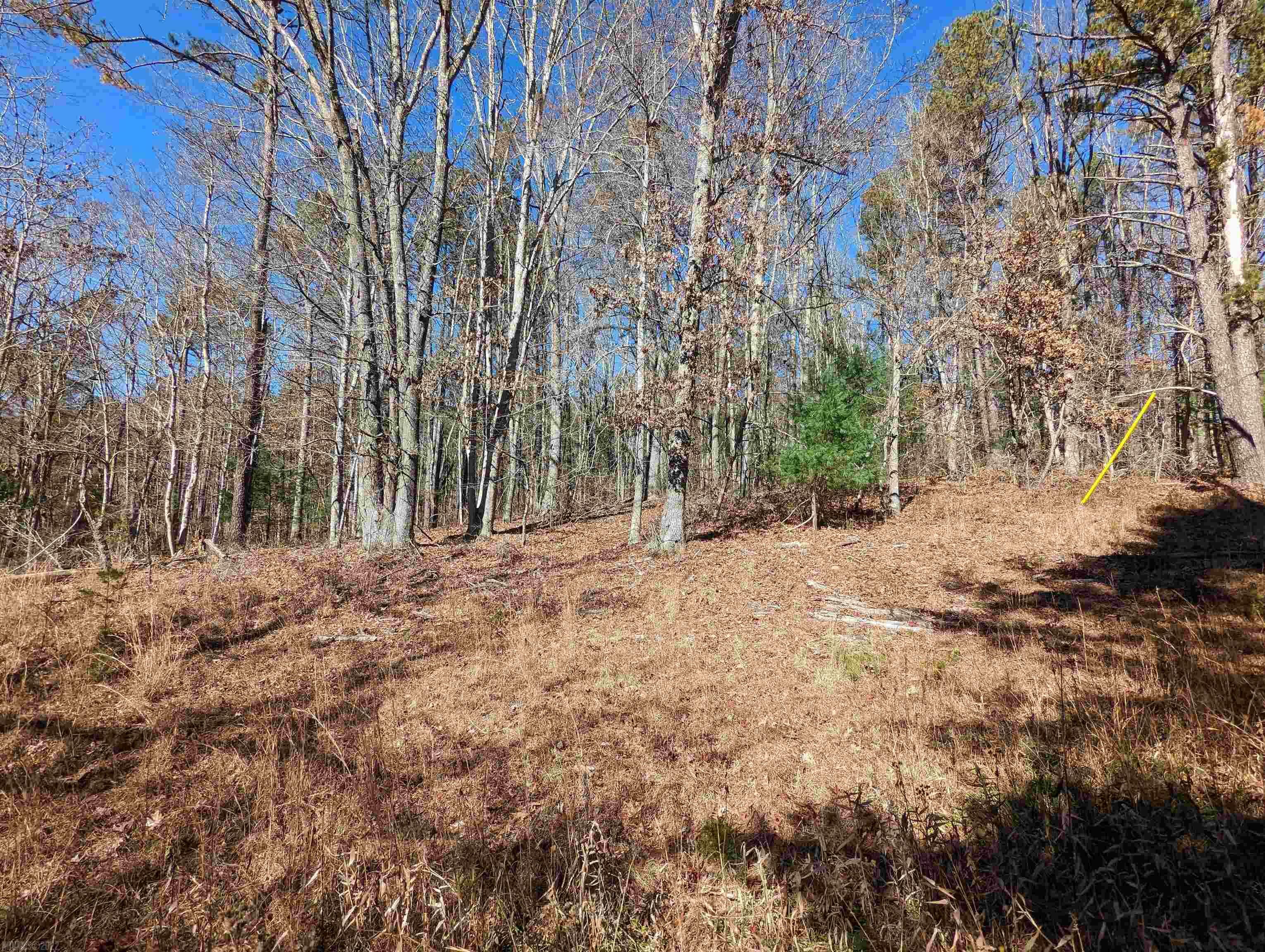 Property Photo:  Tbd Mt Tabor Road  VA 24060 