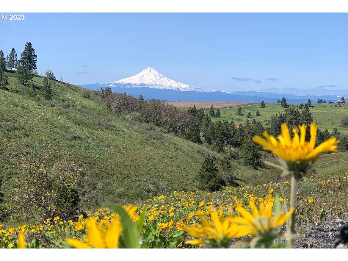 Property Photo: Johnson Creek Rd Lot 2 WA 98635