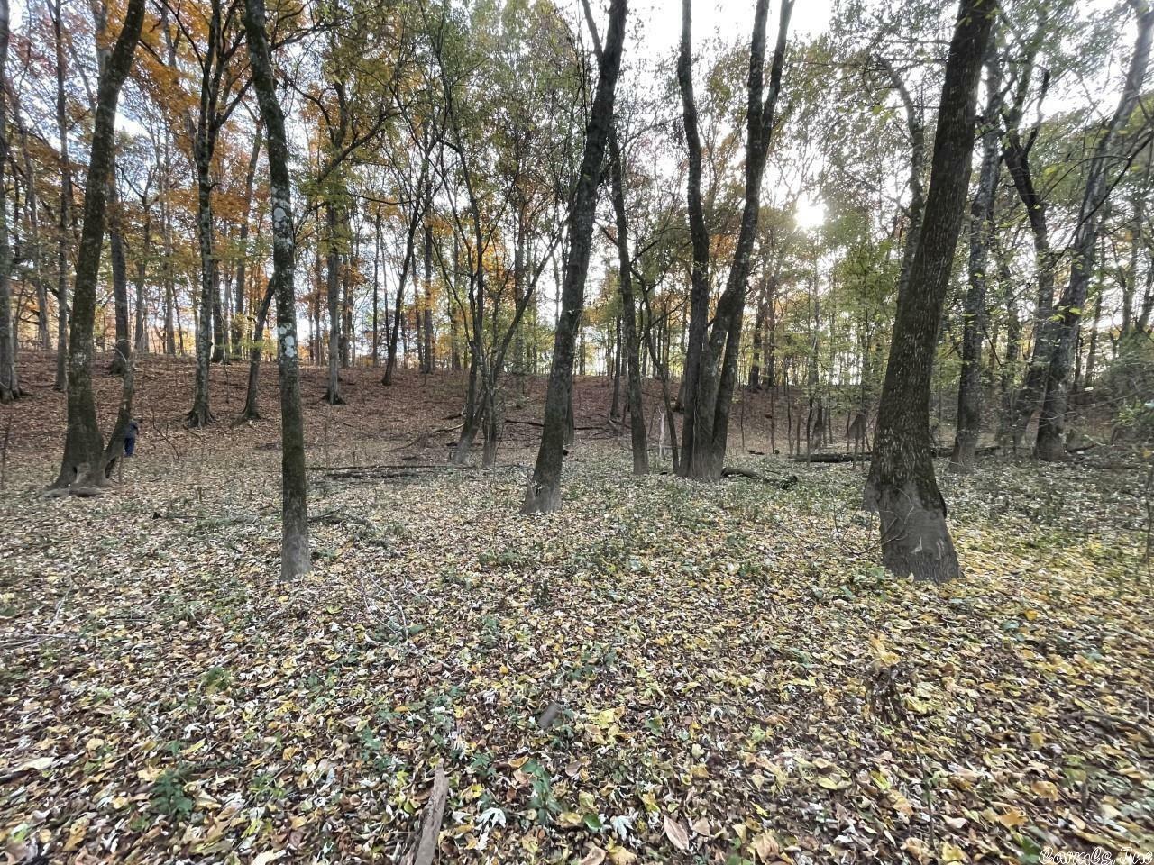 Property Photo: 00 Farm Field Road AR 72032