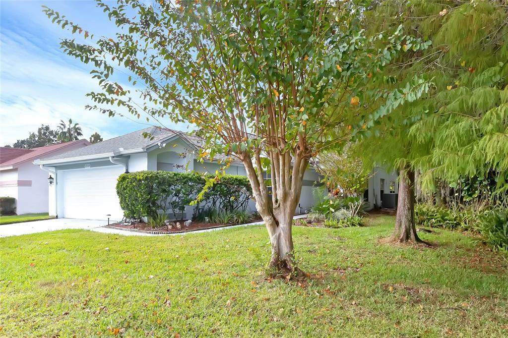 Property Photo:  11558 Peachstone Lane  FL 32821 