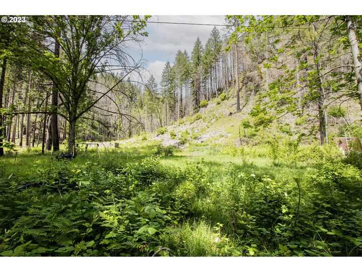 Property Photo: 47987 McKenzie Hwy OR 97488