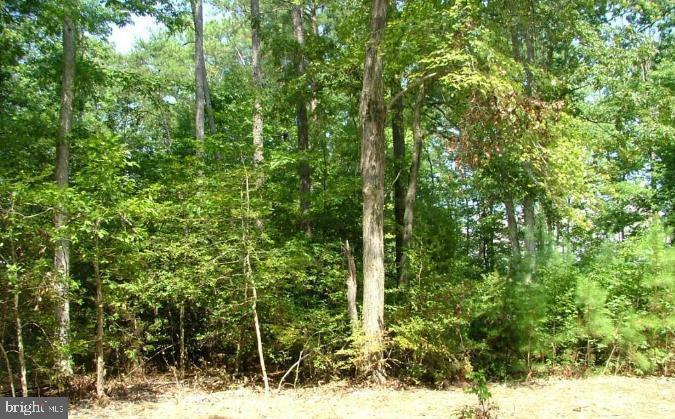 Lot 19 Piney Forest  Colonial Beach VA 22443 photo