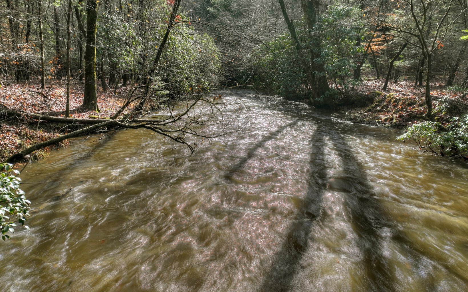 Property Photo:  0 Bushy Head Lane  GA 30513 