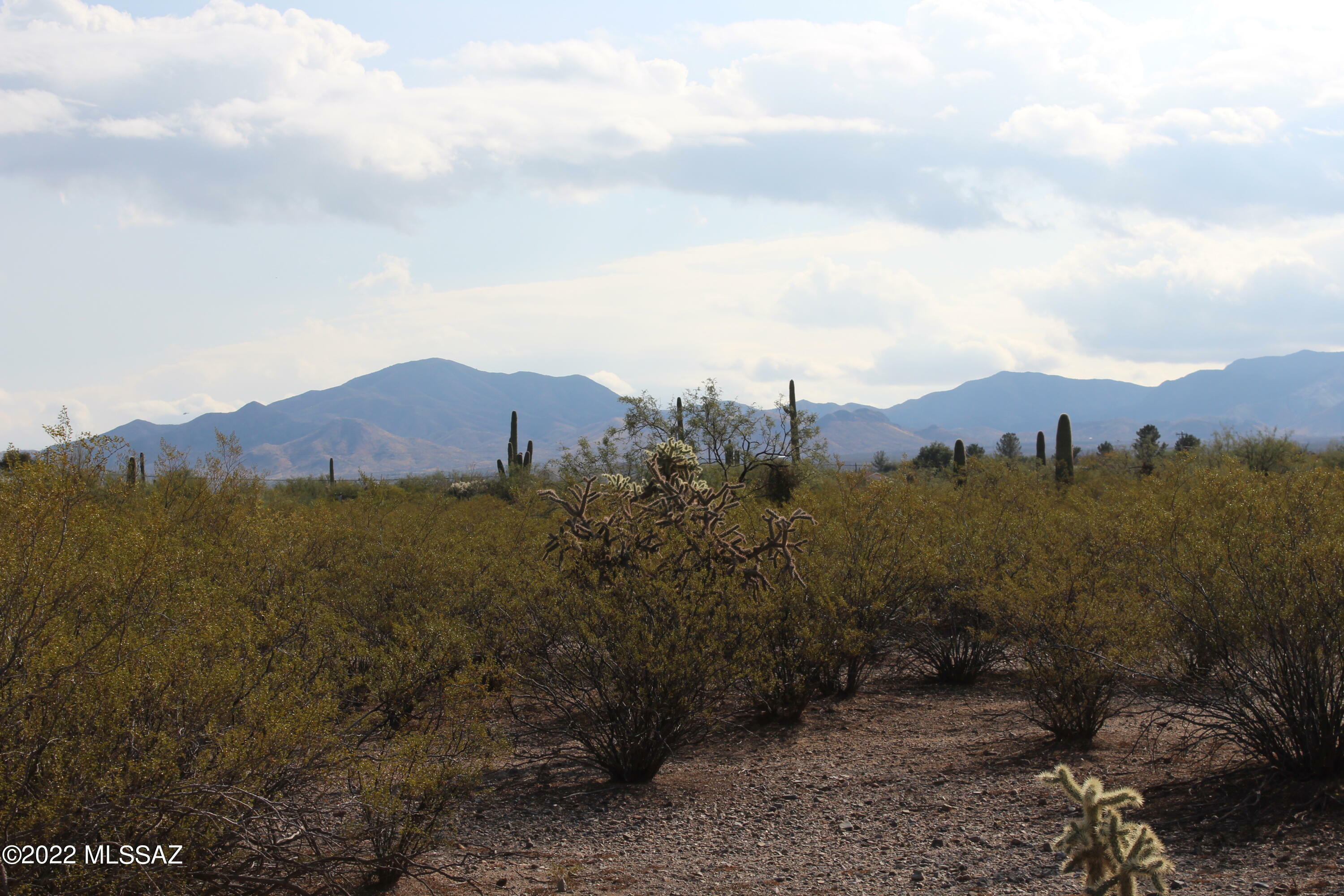 Property Photo: Tbd S Mann Avenue 035D AZ 85629