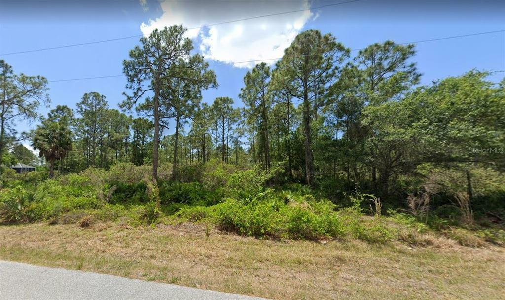 Property Photo:  23445 Mac Dougall Avenue  FL 33980 