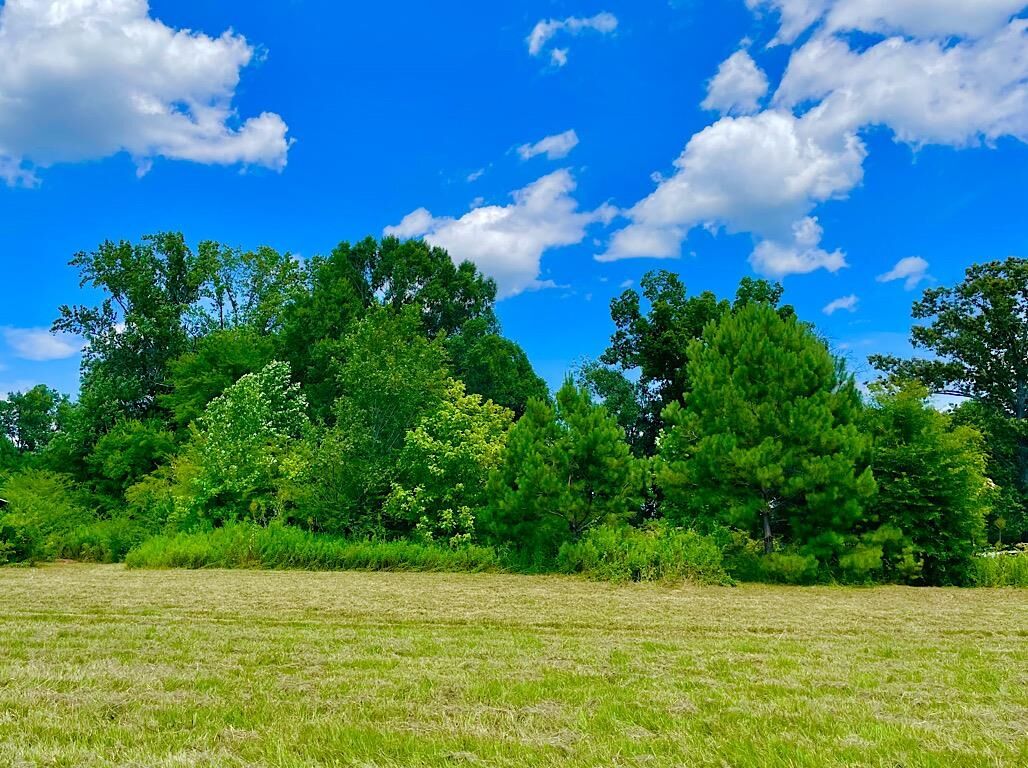 Property Photo: 750 Co Rd 503 AL 35077 - HANCEVIL