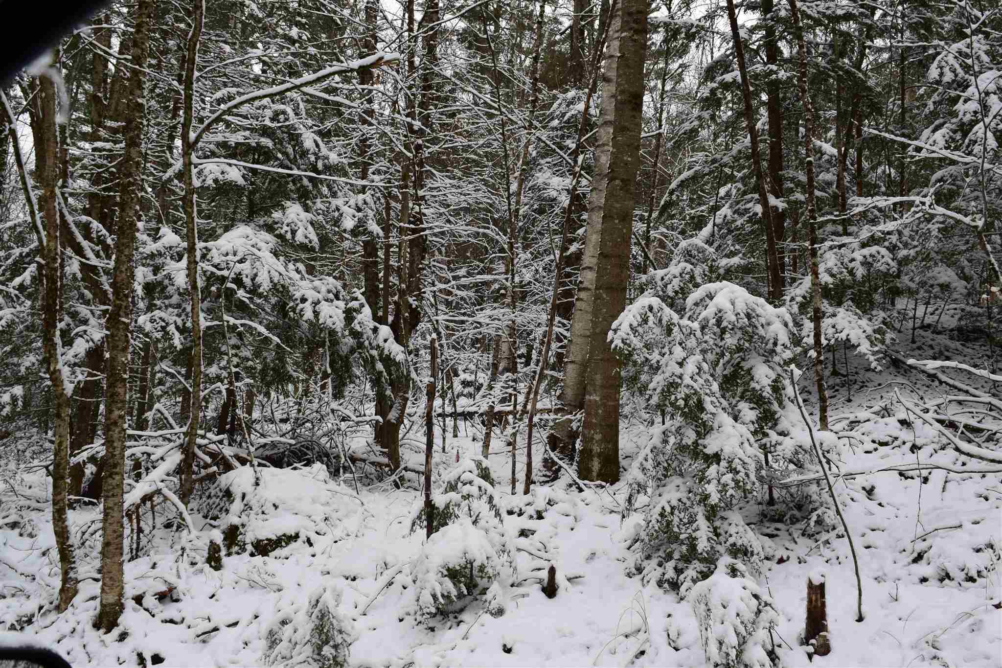 Property Photo: Lot 72 Vernon Drive 72 NH 03765